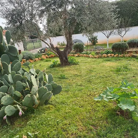Nyaraló In - Istrien 38416 Póla