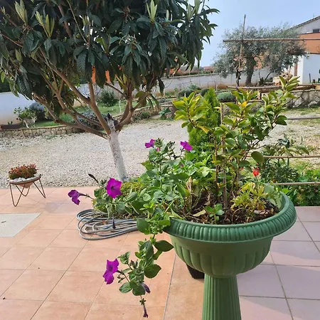 بيت للعطل In - Istrien 38416 *
